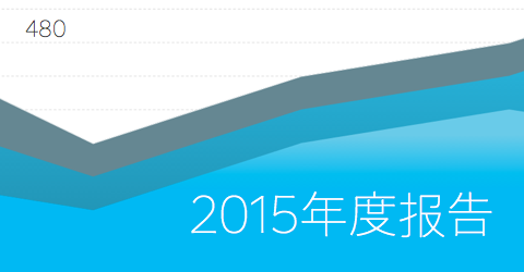 2015年度报告
